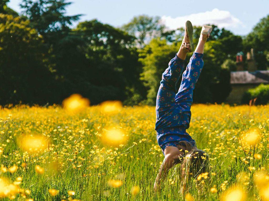 FSME: Kind macht auf einer Wiese mit gelben Blumen Handstand.